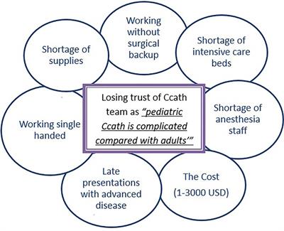 Pediatric cardiac services in Sudan: Achievements, challenges, and future perspectives (2004–2021)